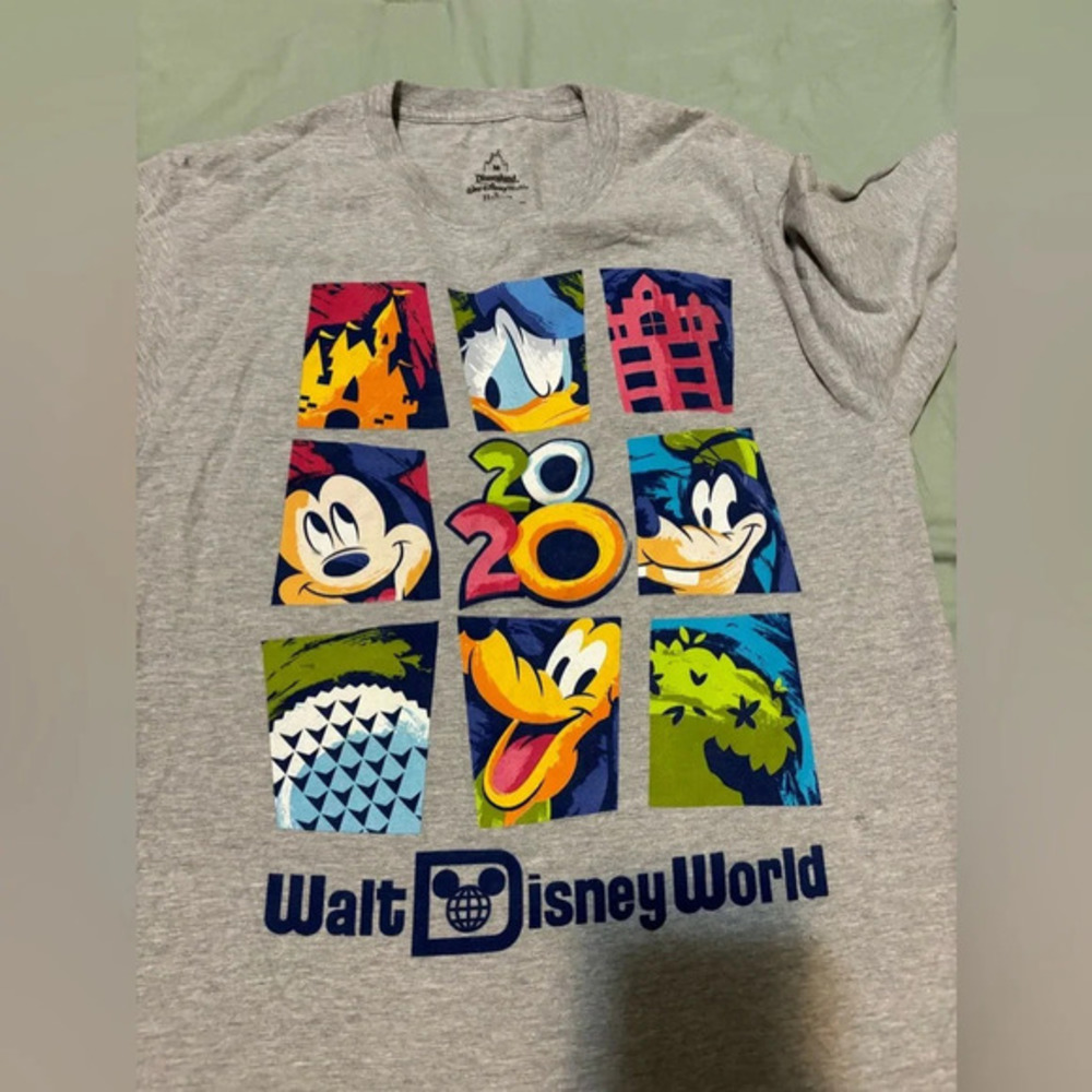 Disneyland Resort 2020 Long Sleeve Shirt size medium Hanes brand